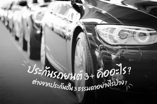 ประกัน 3+ คือ